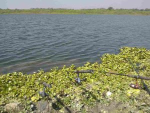 Bangshi River Fishing