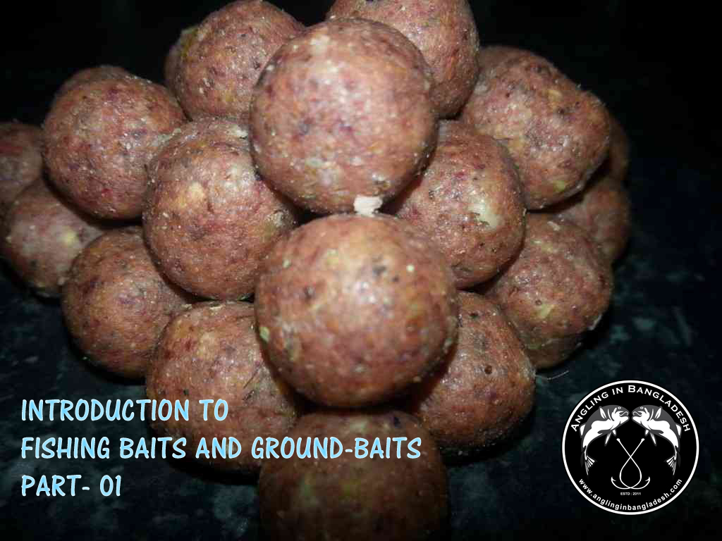 Introduction to Fishing Baits and Ground-baits