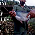 Angling in Bangladesh